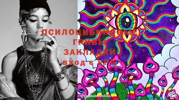 2c-b Балабаново