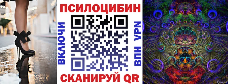 KRAKEN рабочий сайт  Заозёрный  Псилоцибиновые грибы мухоморы  где найти наркотики 